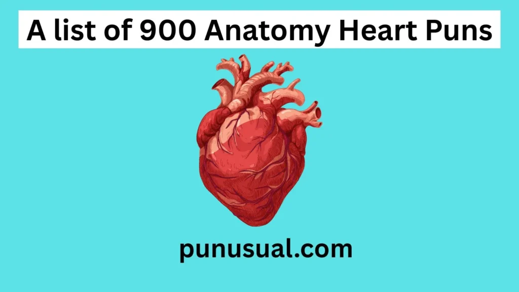 Anatomy Heart Puns