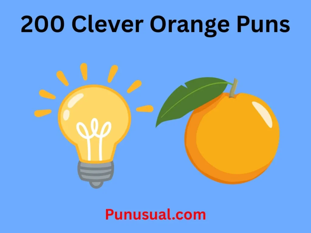 Clever Orange Puns