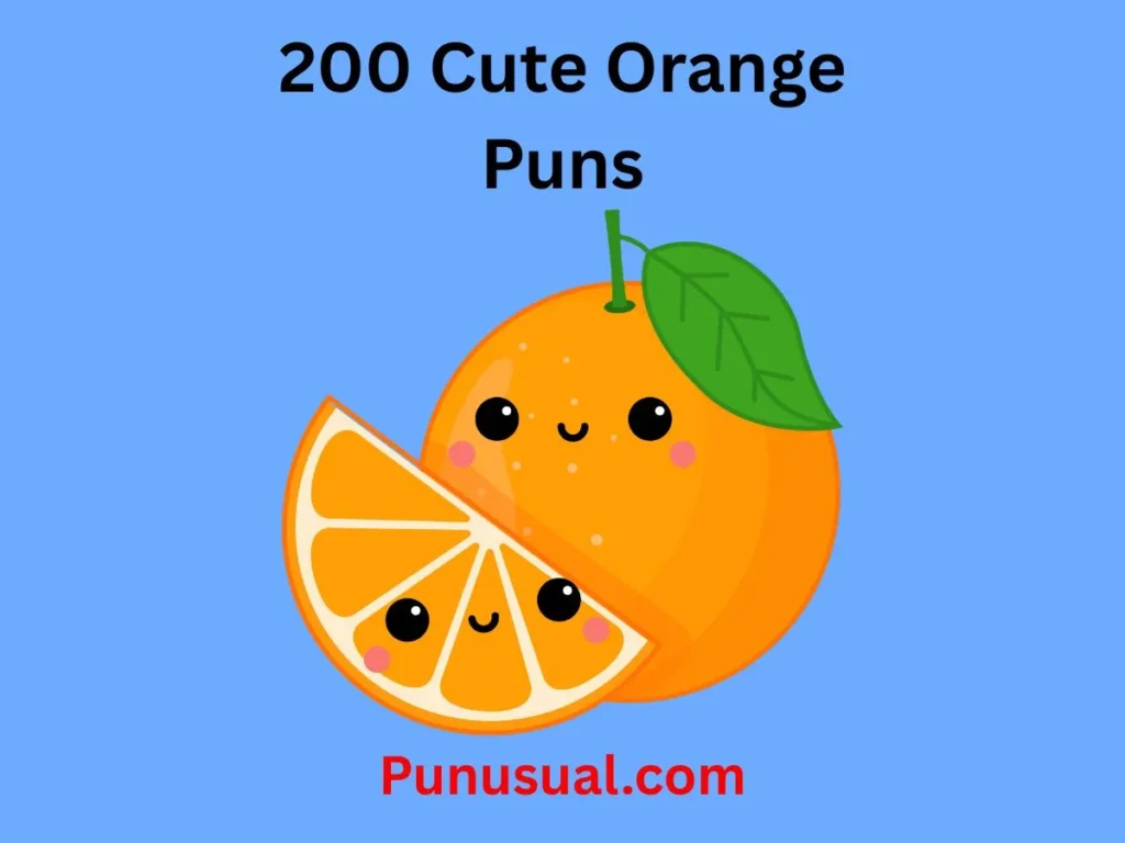 Cute Orange Puns