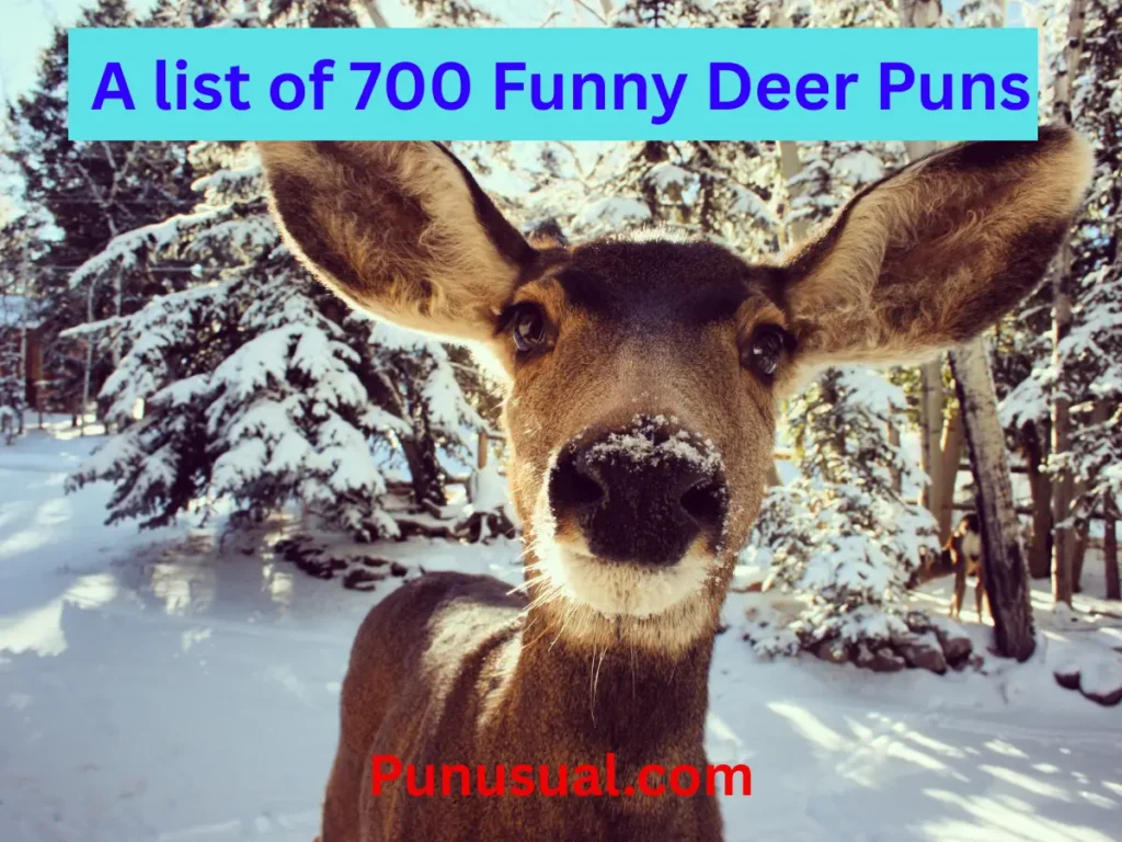 Funny Deer Puns