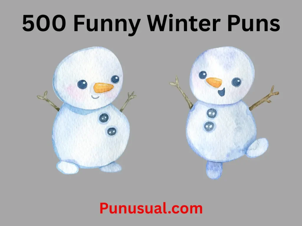 Funny Winter Puns