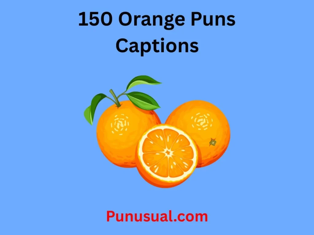 Orange Puns Captions