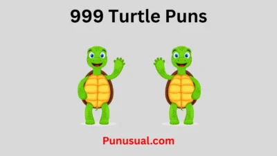 Turtle Puns