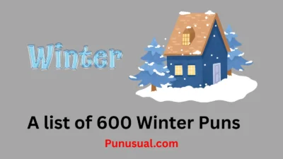 Winter Puns