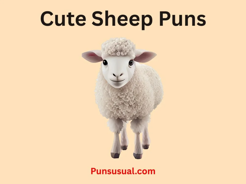 Cute Sheep Puns