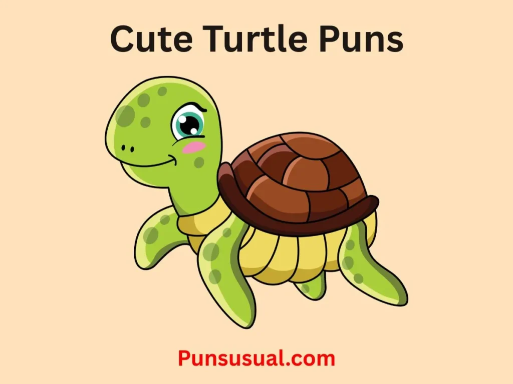 Cute Turtle Puns