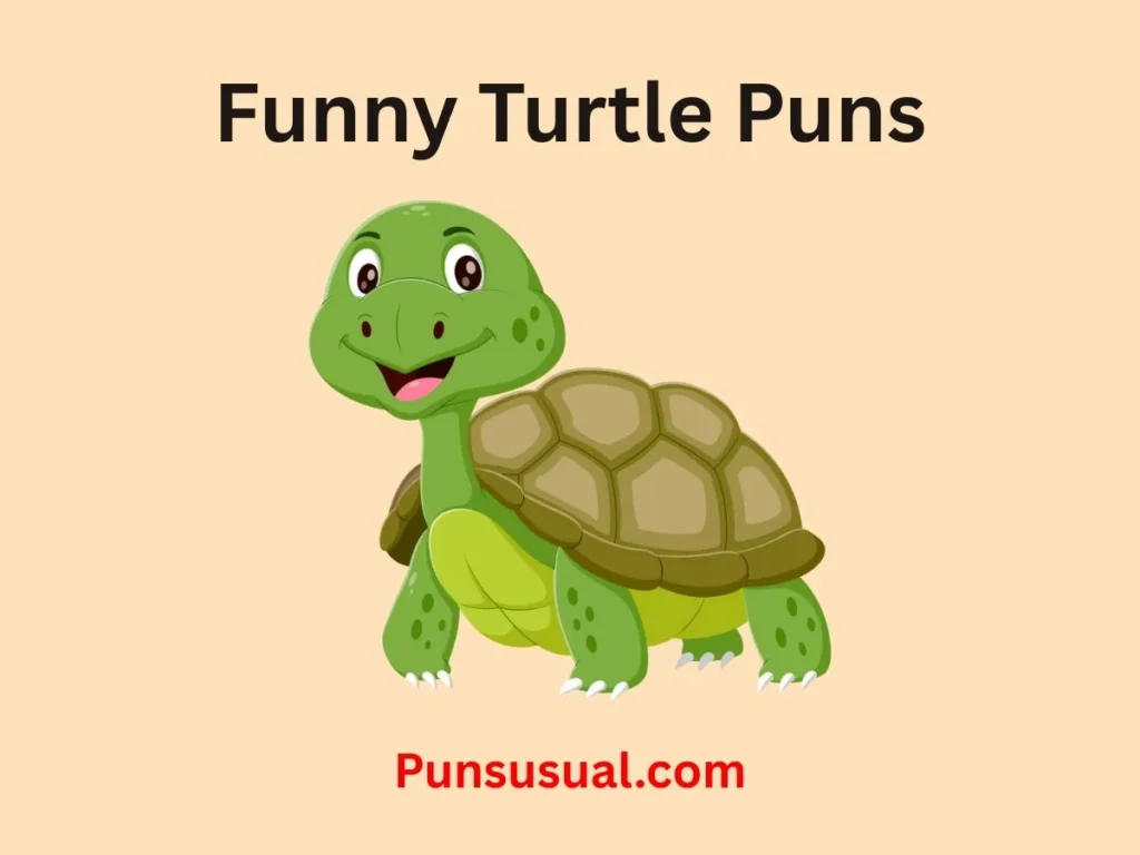 Funny Turtle Puns