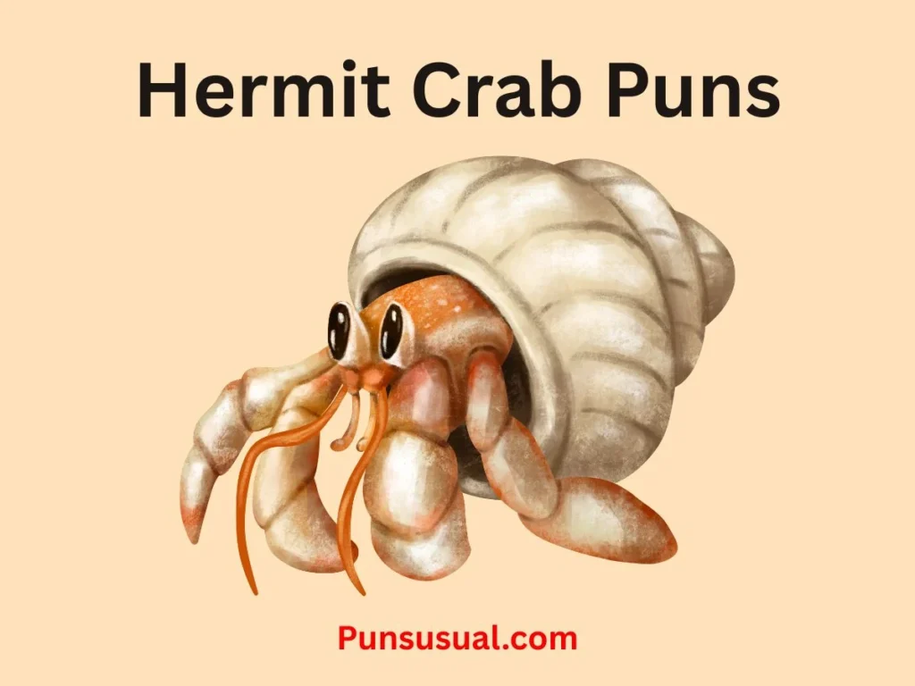 Hermit Crab Puns